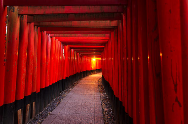 Fushimi Inari-taisha Temple tunnel, Kyoto, Japan