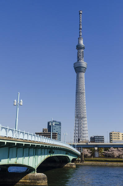 Sky Tree above the sumida river, Tokyo, Japan