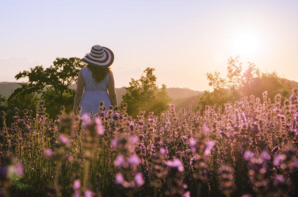 Girl looking at the sunset in a lavander field, Sale San Giovanni, Piedmont, Italy