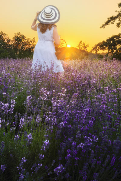 Girl looking at the sunset in a lavander field, Sale San Giovanni, Piedmont, Italy