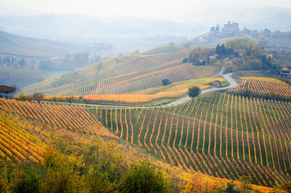 The vineyards and the castle of Grinzane Cavour during Autumn. Italy, Piedmont, Cuneo district, Langhe