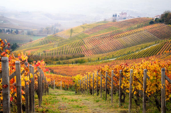 The vineyards and the castle of Grinzane Cavour during Autumn. Italy, Piedmont, Cuneo district, Langhe