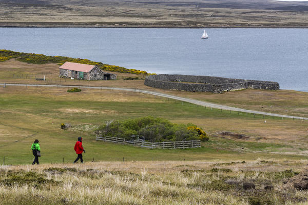 The settlement of Darwin in East Falkland, Falkland Islands.