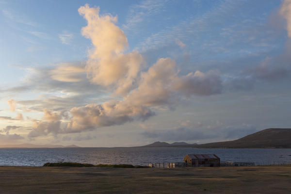 Pebble Island coastline at sunset, Falkland Islands.