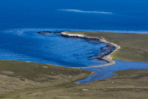 Sea Lion Island, Falkland Islands.