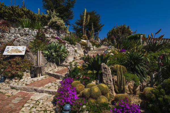 Botanic garden, Eze-Village, Cote d'Azur, France.