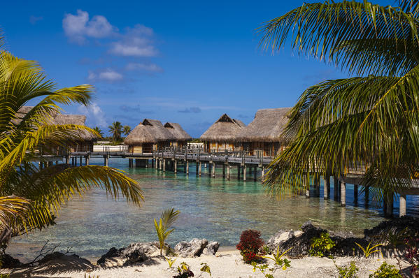 Pearl Beach Resort, Tikehau, Tuamotu Archipelago, French Polynesia.