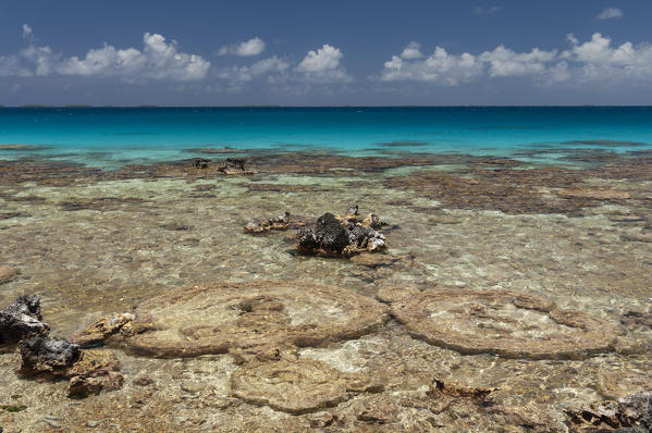 Bird Island, Tikehau, Tuamotu Archipelago, French Polynesia.