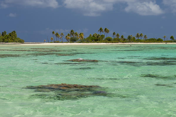 Tikehau, Tuamotu Archipelago, French Polynesia.