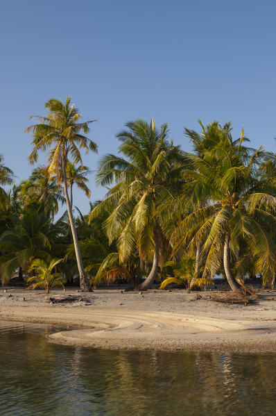 Tikehau, Tuamotu Archipelago, French Polynesia.
