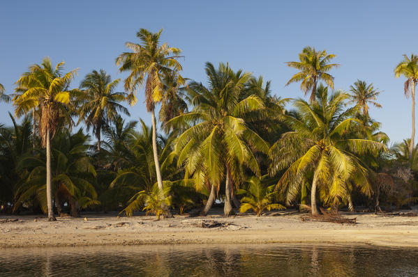 Tikehau, Tuamotu Archipelago, French Polynesia.