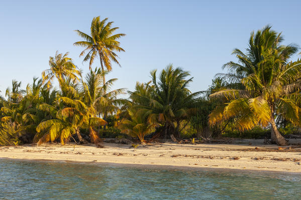 Tikehau, Tuamotu Archipelago, French Polynesia.