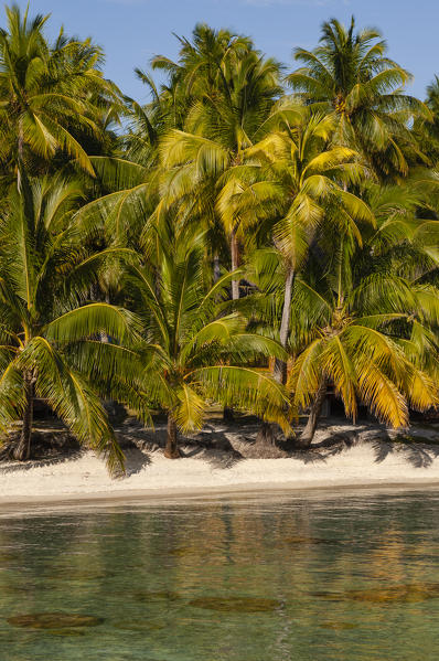 Rangiroa, Tuamotu Archipelago, French Polynesia.