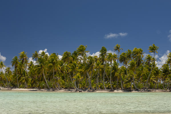 Blue Lagoon, Rangiroa, Tuamotu Archipelago, French Polynesia.