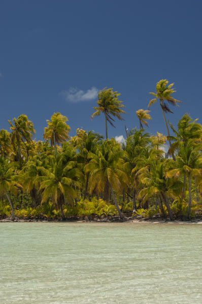Blue Lagoon, Rangiroa, Tuamotu Archipelago, French Polynesia.