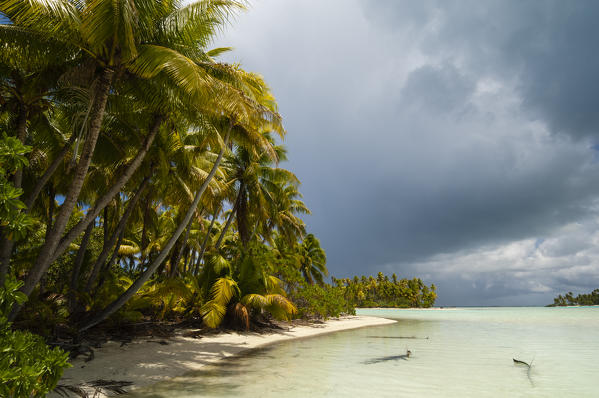 Blue Lagoon, Rangiroa, Tuamotu Archipelago, French Polynesia.