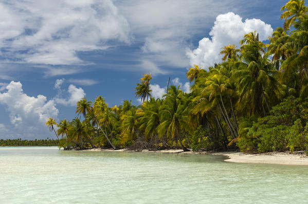 Blue Lagoon, Rangiroa, Tuamotu Archipelago, French Polynesia.