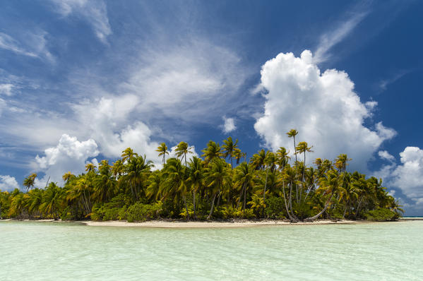 Blue Lagoon, Rangiroa, Tuamotu Archipelago, French Polynesia.