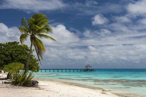 Fakarawa, Tuamotu Archipelago, French Polynesia.