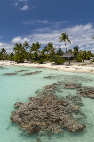 Fakarawa, Tuamotu Archipelago, French Polynesia.