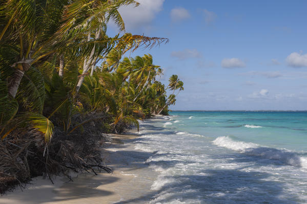 Fakarawa, Tuamotu Archipelago, French Polynesia.