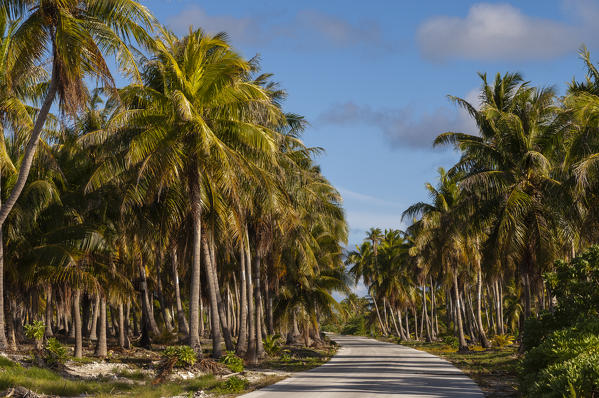 Fakarawa, Tuamotu Archipelago, French Polynesia.