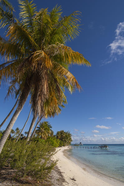 Fakarawa, Tuamotu Archipelago, French Polynesia.
