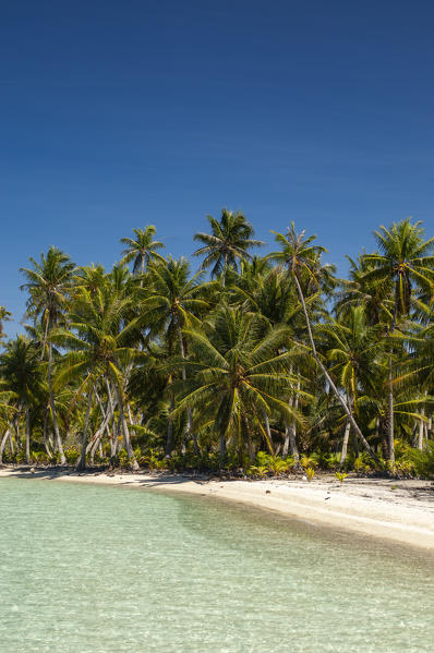 Fakarawa, Tuamotu Archipelago, French Polynesia.