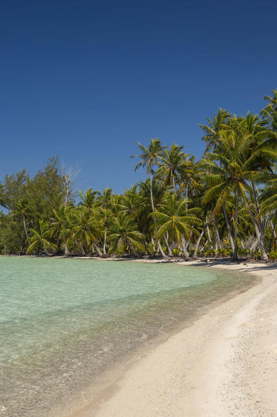 Fakarawa, Tuamotu Archipelago, French Polynesia.