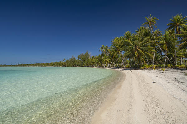 Fakarawa, Tuamotu Archipelago, French Polynesia.