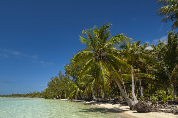 Fakarawa, Tuamotu Archipelago, French Polynesia.