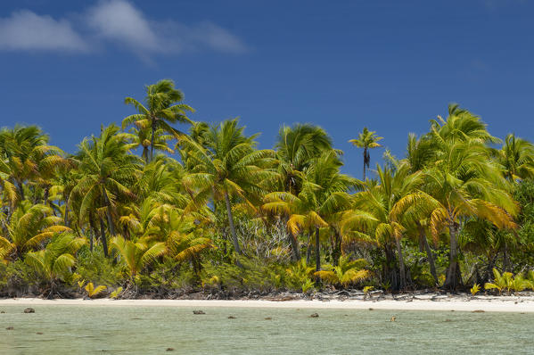 Fakarawa, Tuamotu Archipelago, French Polynesia.