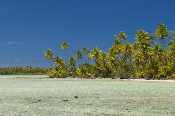 Fakarawa, Tuamotu Archipelago, French Polynesia.