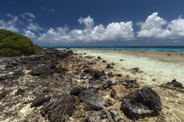 Bird Island, Tikehau, Tuamotu Archipelago, French Polynesia.