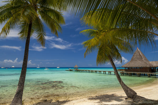 Kia Ora Resort, Rangiroa, Tuamotu Archipelago, French Polynesia.