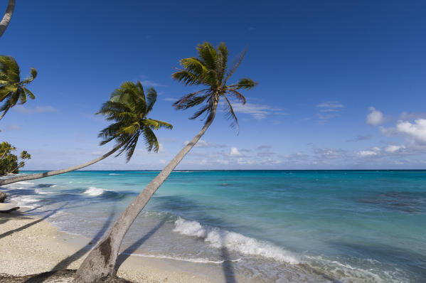Fakarawa, Tuamotu Archipelago, French Polynesia.