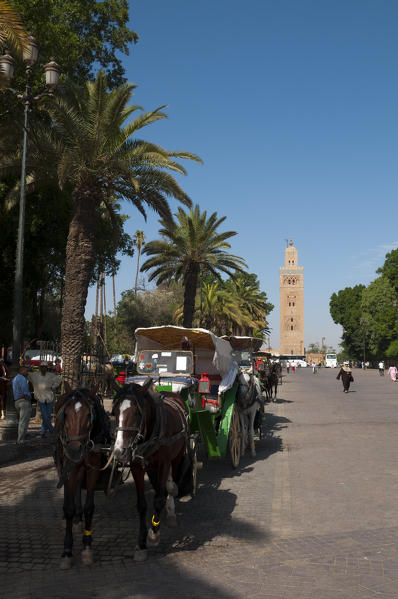 Koutoubia Mosque, Marrakech, Morocco.