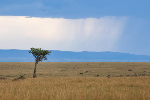 Storm, Masai Mara National Reserve, Kenya.