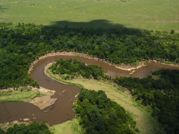 Mara River, Masai Mara National Reserve, Kenya.