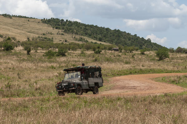 Jeep during a safari, Masai Mara National Reserve, Kenya.