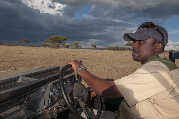 Guide driving Land Rover, Masai Mara National Reserve, Kenya.