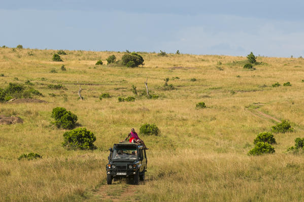 Jeep during a safari, Masai Mara National Reserve, Kenya.