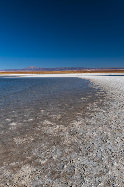 Laguna Sejar, Salar de Atacama, Atacama Desert, Chile.