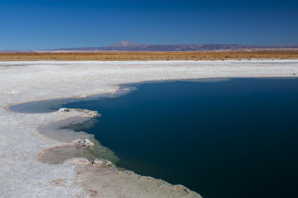 Laguna Sejar, Salar de Atacama, Atacama Desert, Chile.