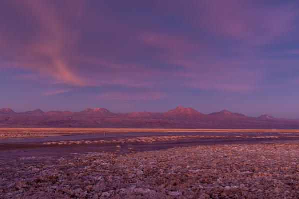 Laguna Chaxa, Salar de Atacama, Atacama Desert, Chile.