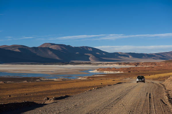 Salar de Talar, Atacama Desert, Chile.