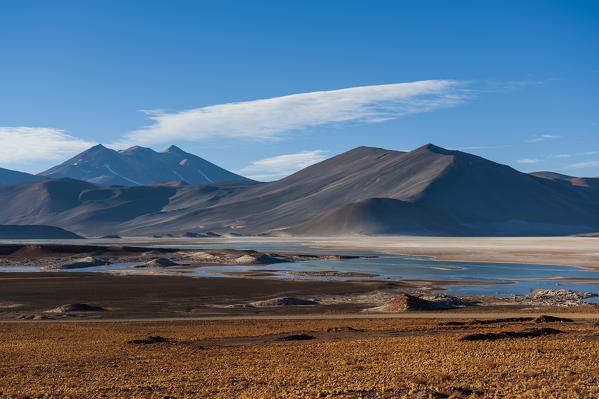 Salar de Talar, Atacama Desert, Chile.