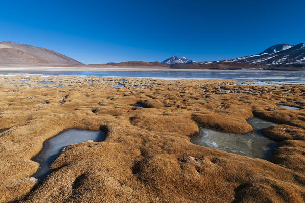 Laguna Tuyajto, Atacama Desert, Chile.