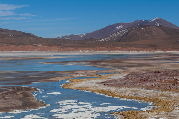 Salar de Talar, Atacama Desert, Chile.
