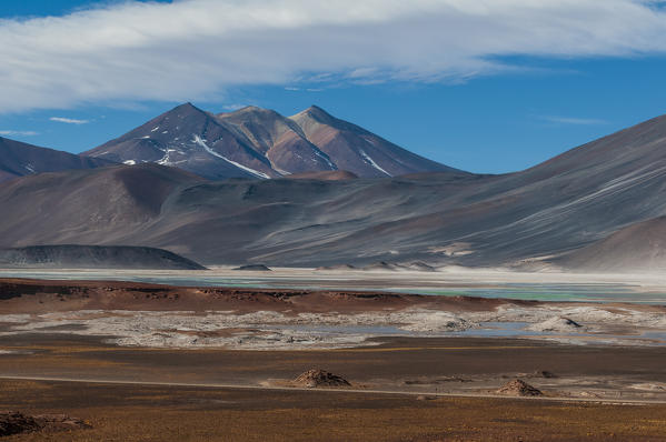 Salar de Talar, Atacama Desert, Chile.